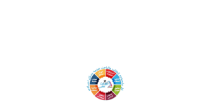 مساعد الباحث العلمي